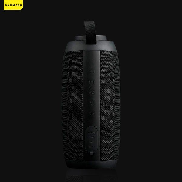 20W Bluetooth Speaker (bmsbox-04)