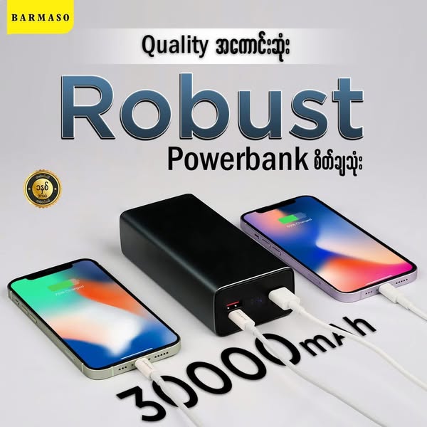 Robust Powerbank